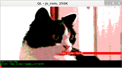 first pic from `miao' sequence after rle compression