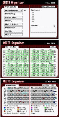 QBITS Organiser 04.jpg